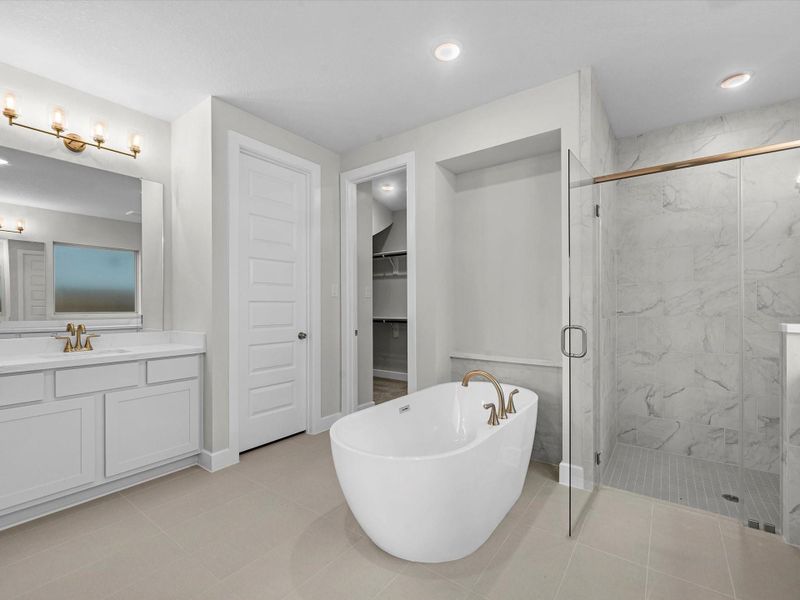 Representative image. Features, selections and colors may vary.