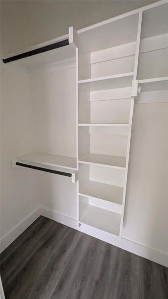 Spacious closet featuring dark wood-style flooring