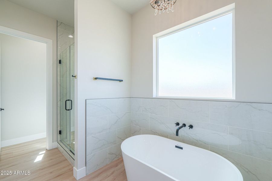 Free-standing Tub Free-standing Tub