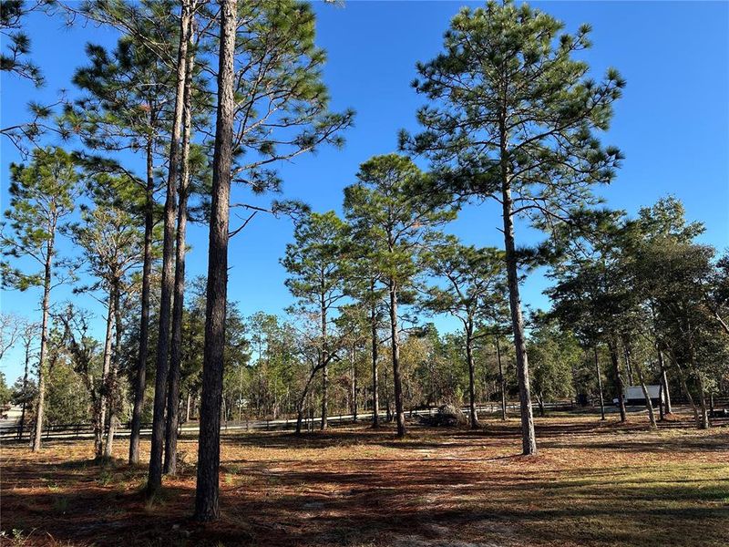 Natural landscape and outdoor views near in Williston (Image 30). Natural landscape and outdoor views near in Williston (Image 30).
