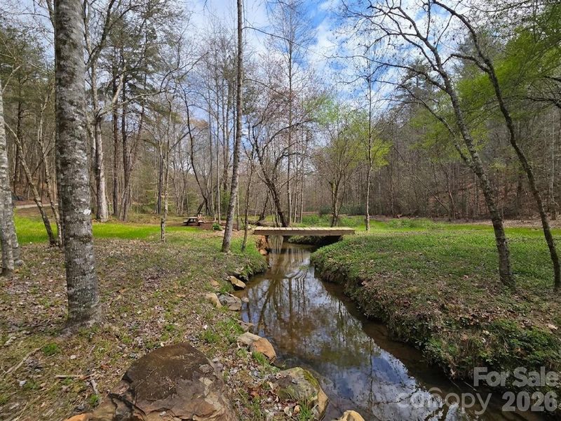 Natural landscape and outdoor views near  in Murphy (Image 40).