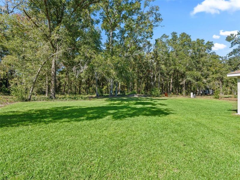 Natural landscape and outdoor views near Dorchester in Ocala (Image 38).