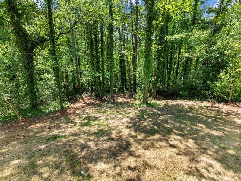 Natural landscape and outdoor views near  in Gainesville (Image 29).