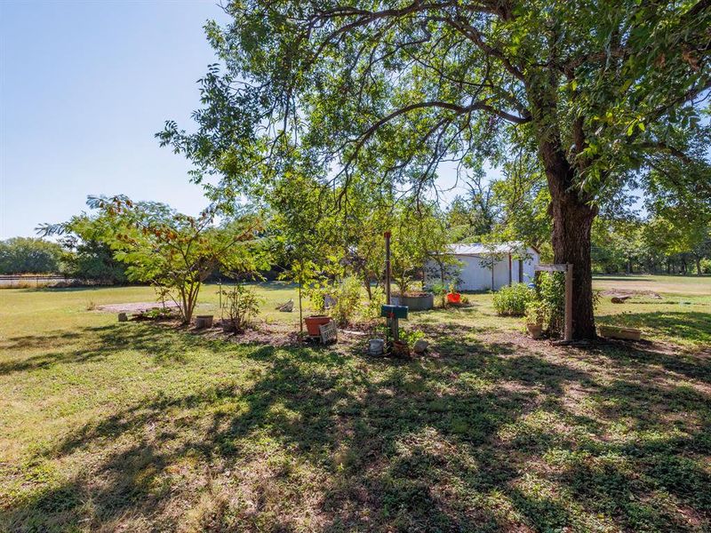 Natural landscape and outdoor views near in Blanket (Image 17). Natural landscape and outdoor views near in Blanket (Image 17).