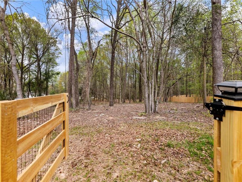 Natural landscape and outdoor views near  in Gillsville (Image 59).
