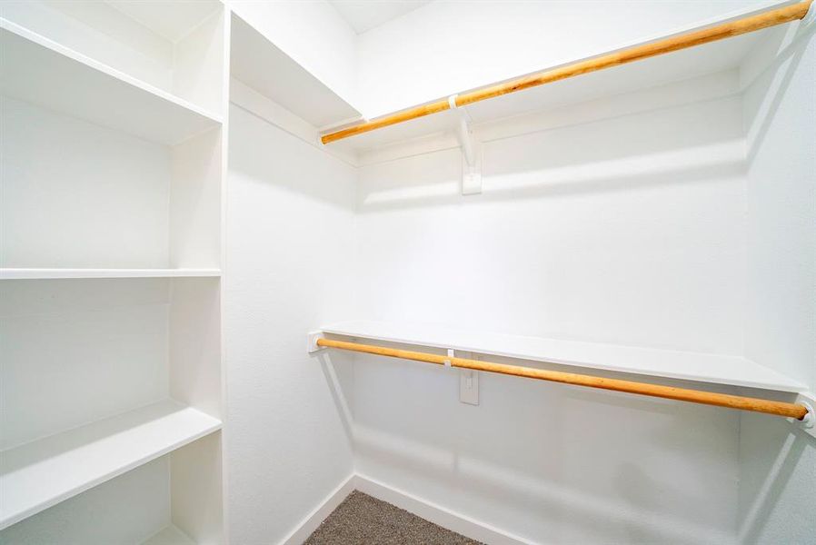 Spacious closet featuring carpet