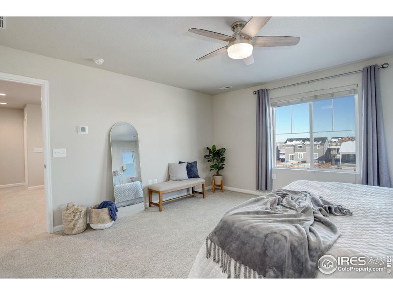 Large primary bedroom off the loft