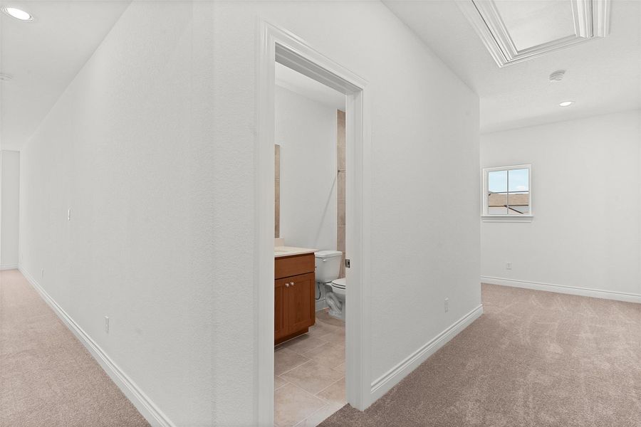 Hallway with plush carpeting, leading to a bathroom featuring a wood-finish vanity with a light-toned countertop and a toilet