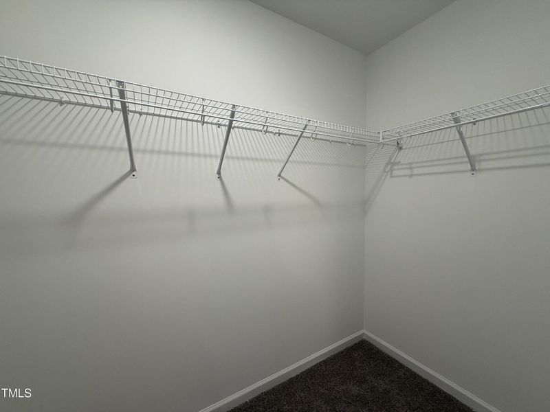 Photo Aug 13 2025, 10 47 31 AM