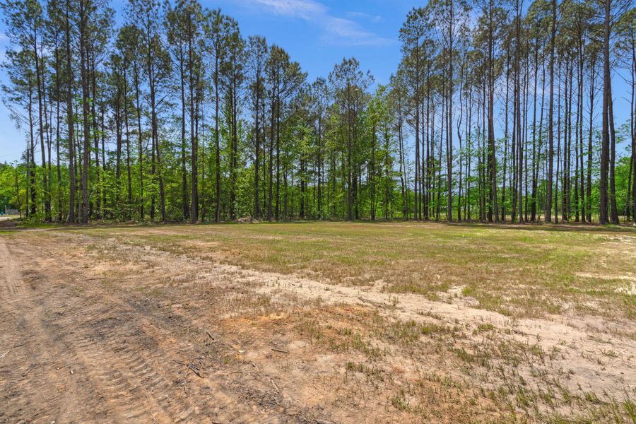 Natural landscape and outdoor views near  in Cottageville (Image 34).
