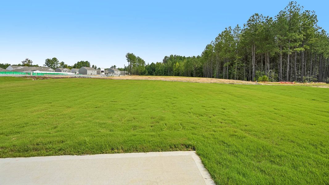 Natural landscape and outdoor views near Mangum Farms in Stem (Image 28).