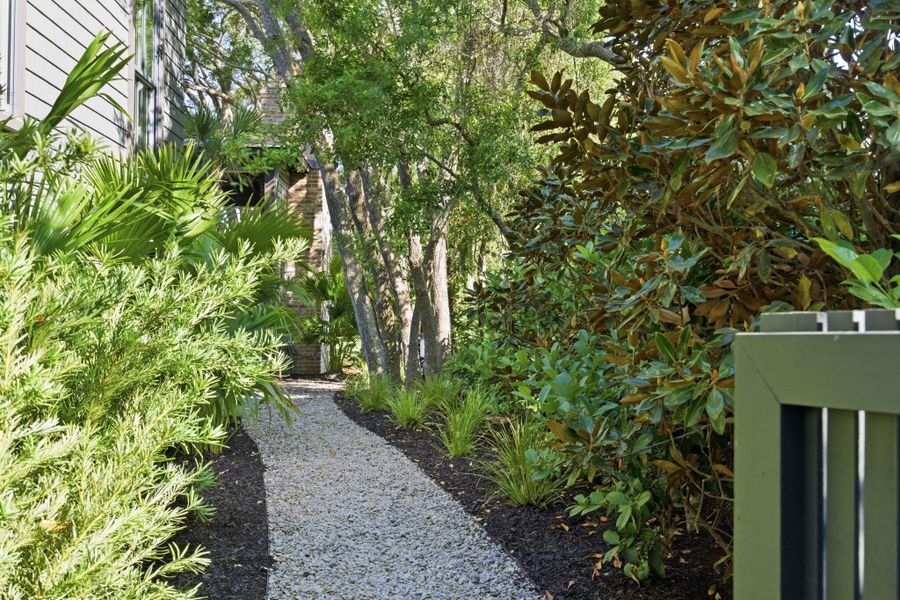 Natural landscape and outdoor views near  in Sullivan's Island (Image 39).