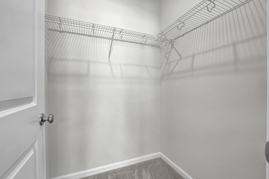 Spacious, unfurnished interior of a new home in River Tide Farms, Bolivia (Image 33).