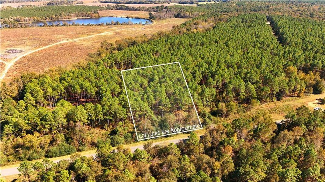 Natural landscape and outdoor views near  in Chester (Image 13).