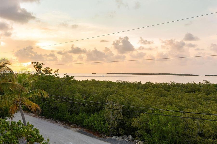 Natural landscape and outdoor views near  in Tavernier (Image 90).