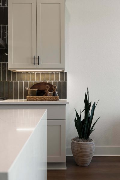 Representative interior finishes for a home built from the McKinney by Tri Pointe Homes in Turner's Crossing, Buda (Image 22).