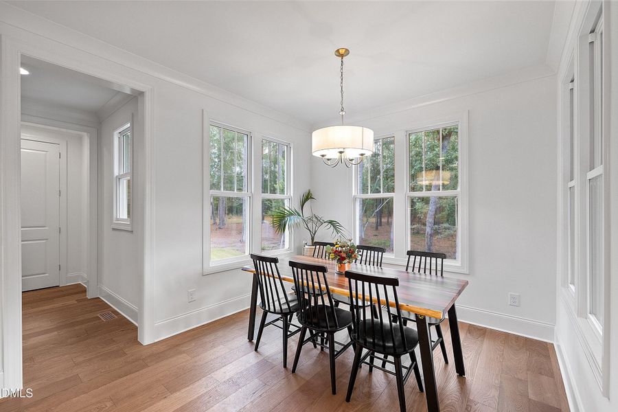 34-807 Crimson_7273 34-807 Crimson_7273