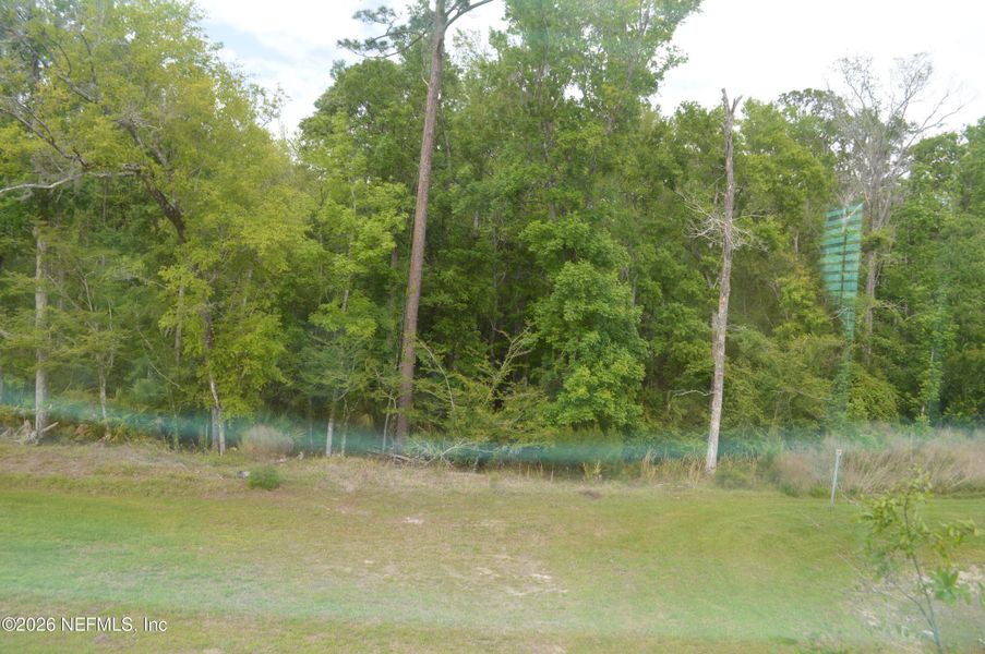 Natural landscape and outdoor views near  in St. Augustine (Image 26).