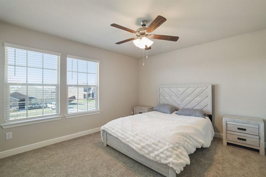 Carpeted bedroom featuring baseboards and ceiling fan Carpeted bedroom featuring baseboards and ceiling fan