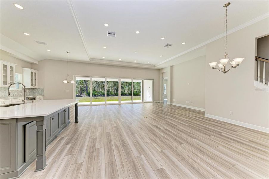 Spacious, unfurnished interior of a new home in Hawkstone, Lithia (Image 19).