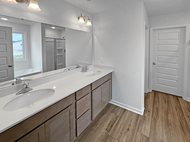 Furnished interior view inside a new home in Doctor's Creek, Ludowici (Image 11). Furnished interior view inside a new home in Doctor's Creek, Ludowici (Image 11).