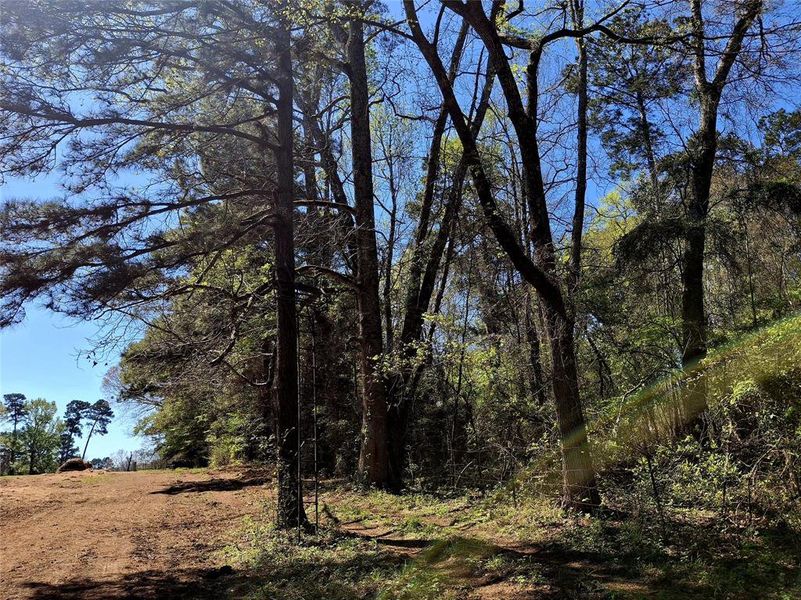 Natural landscape and outdoor views near  in Jacksonville (Image 8).