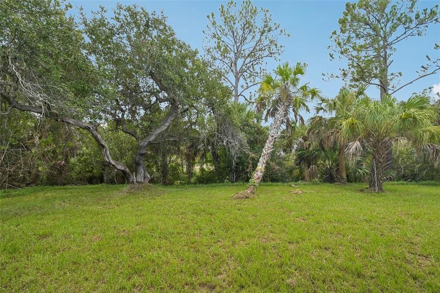 Natural landscape and outdoor views near  in North Port (Image 32).