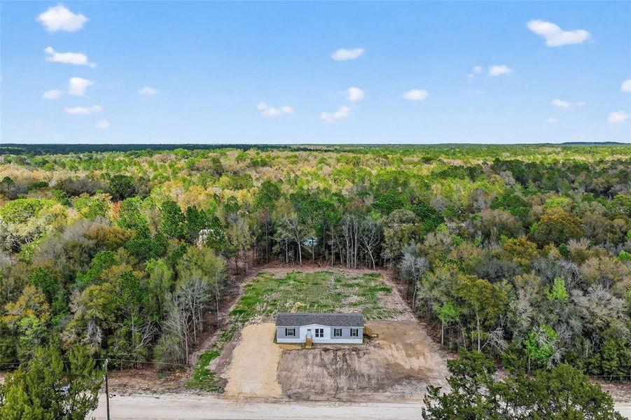 Natural landscape and outdoor views near  in Ocala (Image 32).