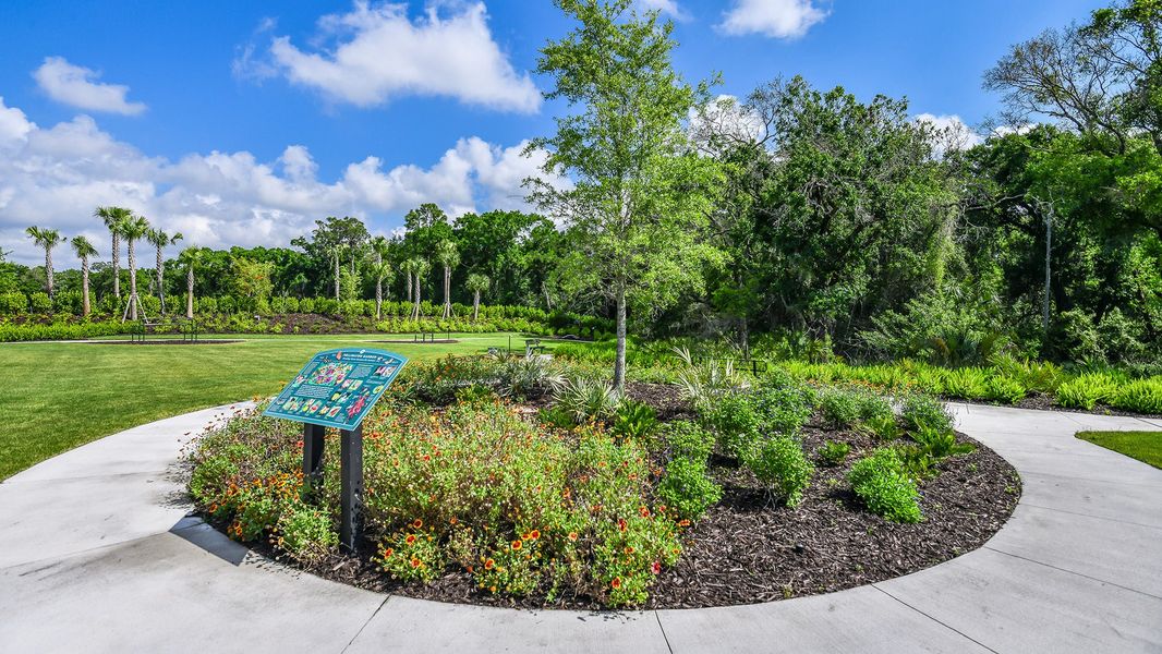 Community amenities in Esplanade at Azario Lakewood Ranch, Bradenton (Image 85).