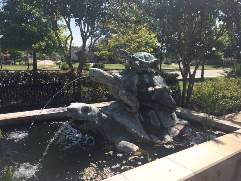 Lots of natural beauty comes with this community but a big frog is kinda cute also. Lots of natural beauty comes with this community but a big frog is kinda cute also.