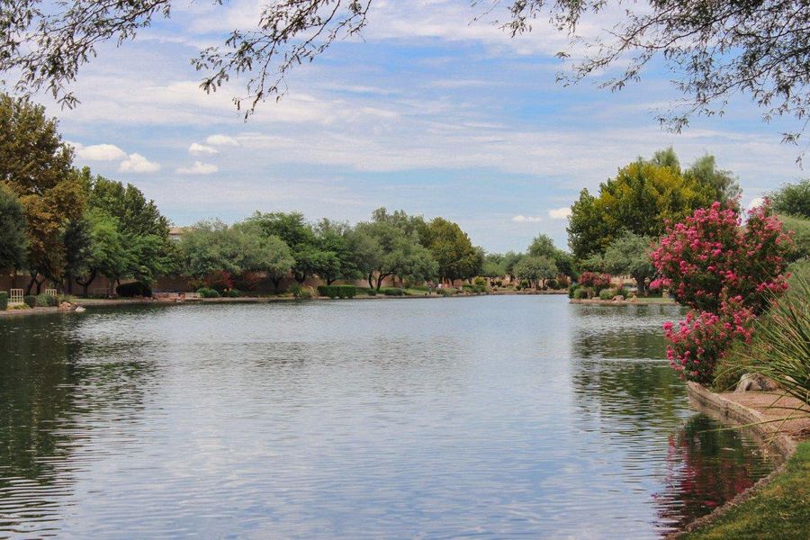 Natural landscape and outdoor views near Sahuarita Acres in Sahuarita (Image 40). Natural landscape and outdoor views near Sahuarita Acres in Sahuarita (Image 40).