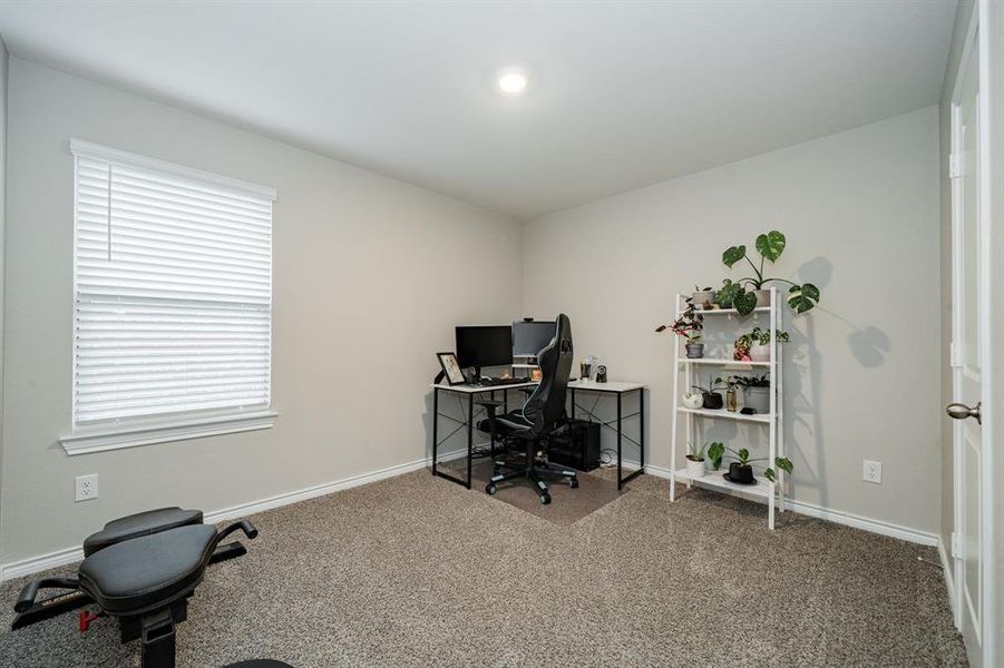 Carpeted home office with baseboards Carpeted home office with baseboards