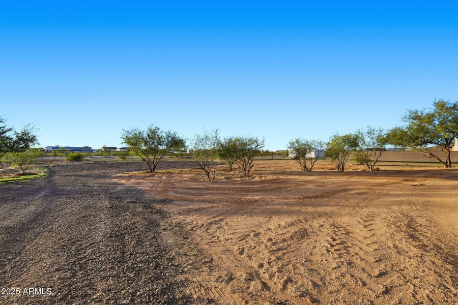 053_ListerPros 053_ListerPros