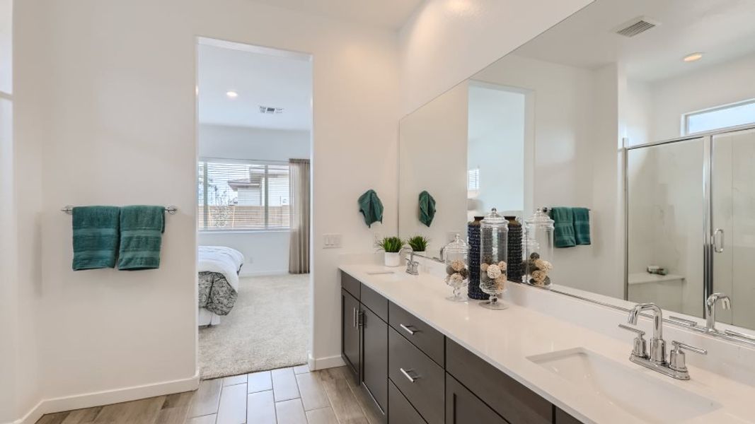 Owners bathroom sinks