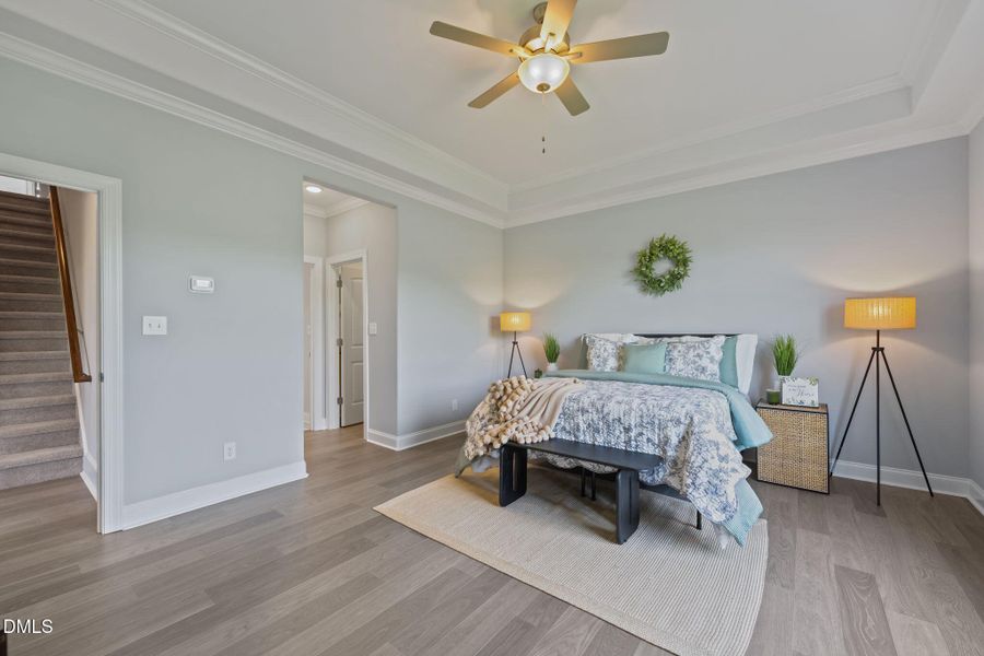 29-web-or-mls-ROB01547