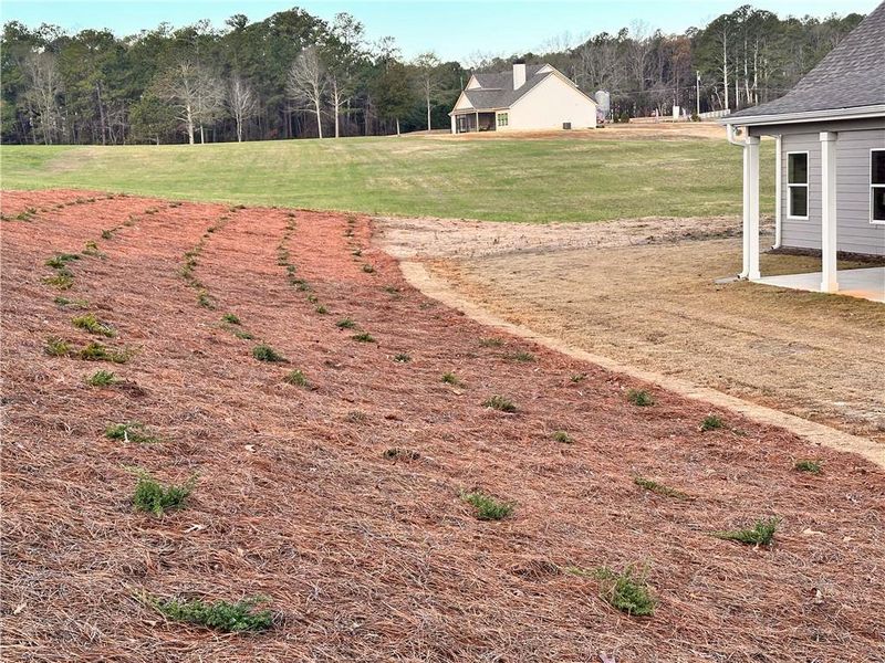 Site preparation for new homesites in The Reserve at Red Oaks, Carrollton (Image 29).