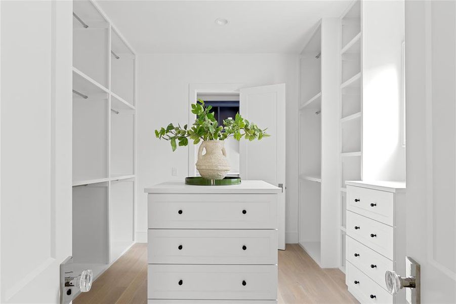 Spacious closet with light wood finished floors