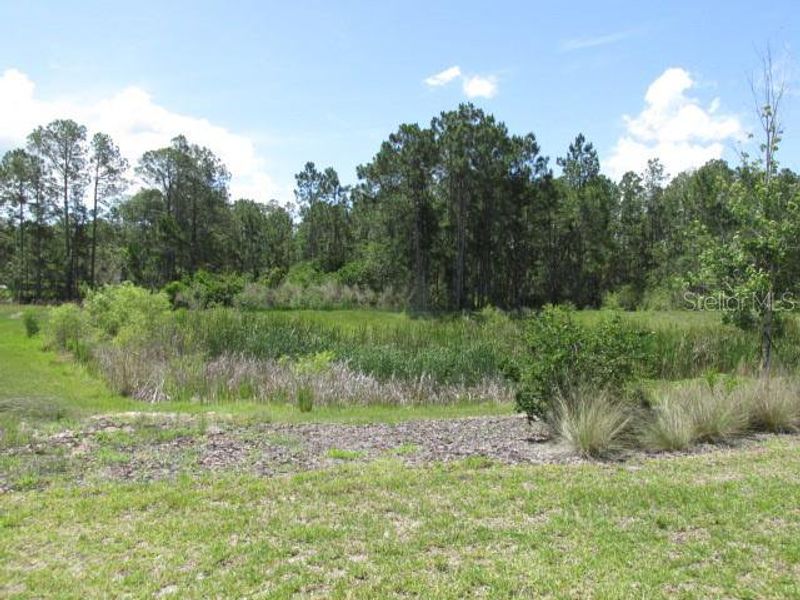 Natural landscape and outdoor views near in Davenport (Image 36). Natural landscape and outdoor views near in Davenport (Image 36).