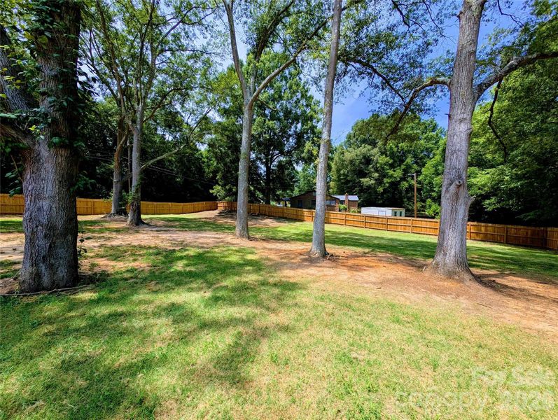 Natural landscape and outdoor views near  in Clover (Image 30).