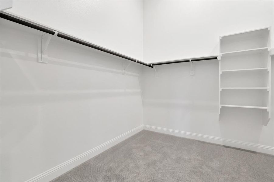 Spacious Primary closet with carpet flooring