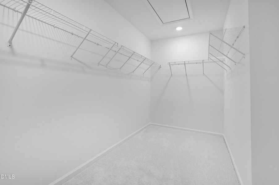 SUN_MyrtleMeadows_Pic_CarsonII-30