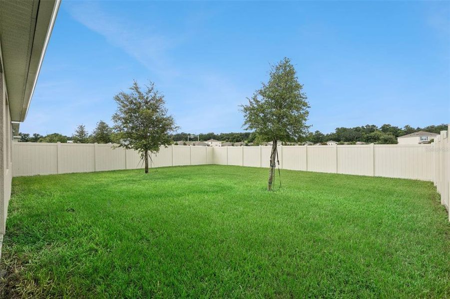 Exterior details and patio area of a home in Windrose, Apopka (Image 23).