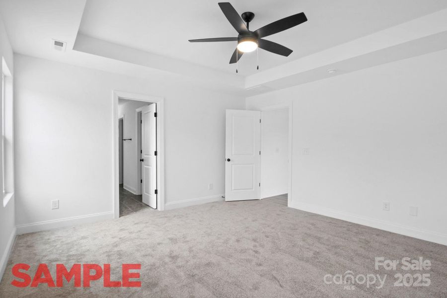 Primary Bd Primary Bd