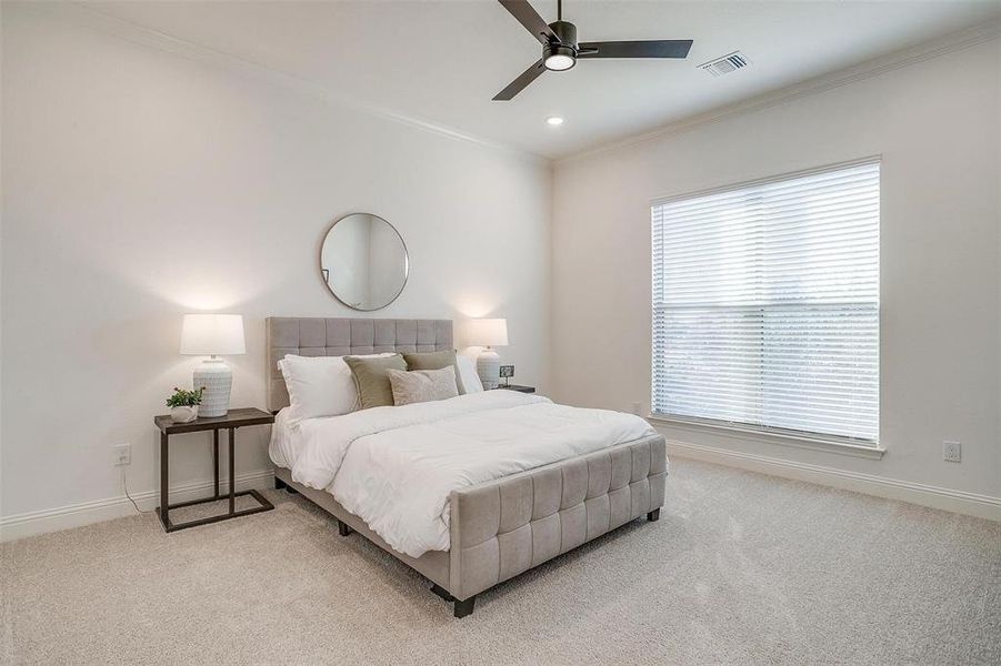 Primary Bedroom featuring ceiling fan, crown molding and large window