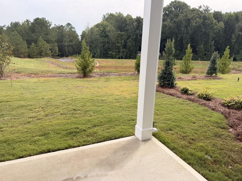 Exterior details and patio area of a home in Blythe Mill Townhomes, Waxhaw (Image 16).