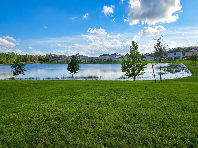 Natural landscape and outdoor views near Harmony Central in St. Cloud (Image 11). Natural landscape and outdoor views near Harmony Central in St. Cloud (Image 11).