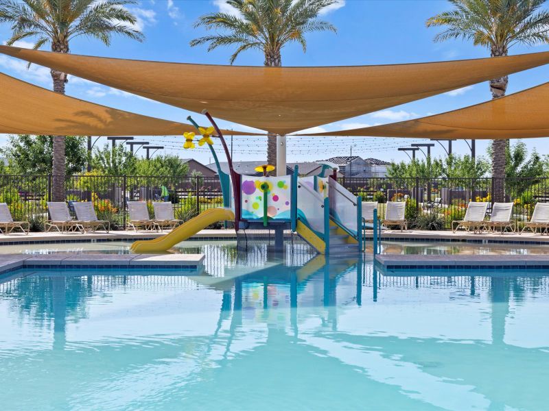 Community amenities in Bella Vista Farms Reserve Series, San Tan Valley (Image 28).