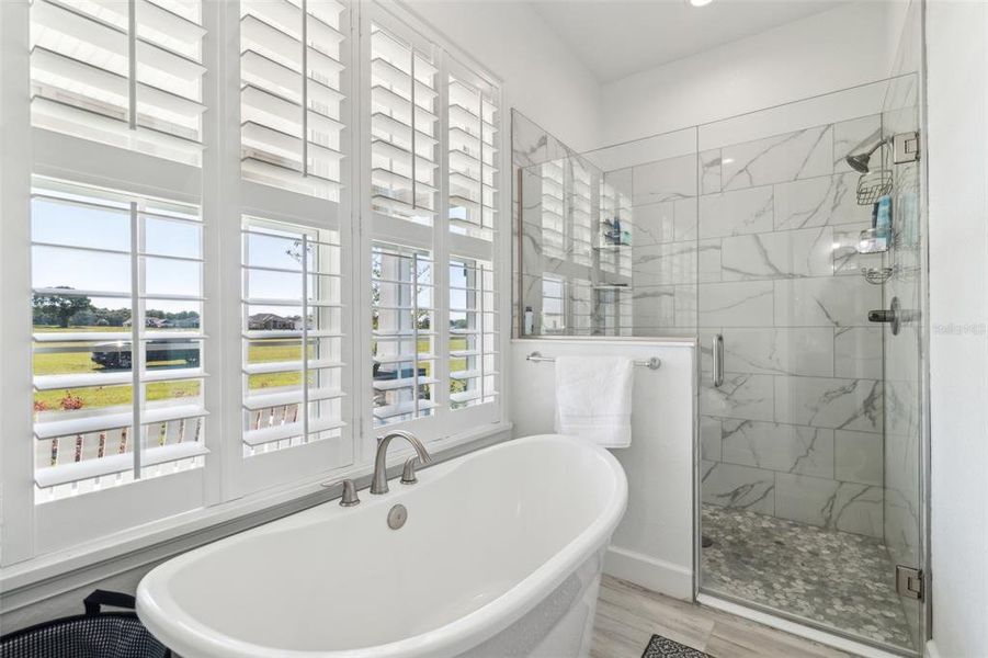 Furnished interior view inside a new home in , Ocala (Image 13). Furnished interior view inside a new home in , Ocala (Image 13).