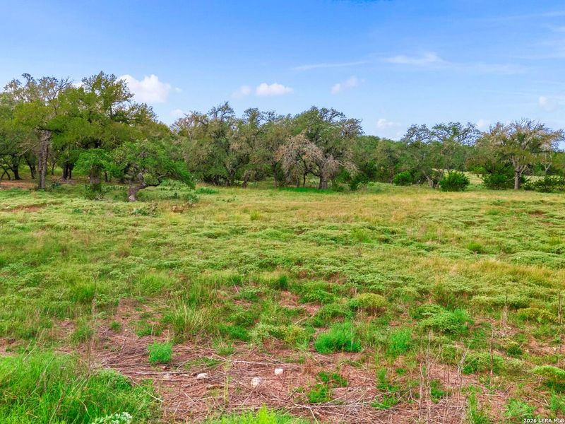 Natural landscape and outdoor views near  in Fredericksburg (Image 5).