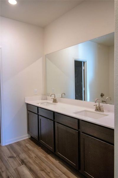 Bathroom featuring hardwood / wood-style flooring and vanity
